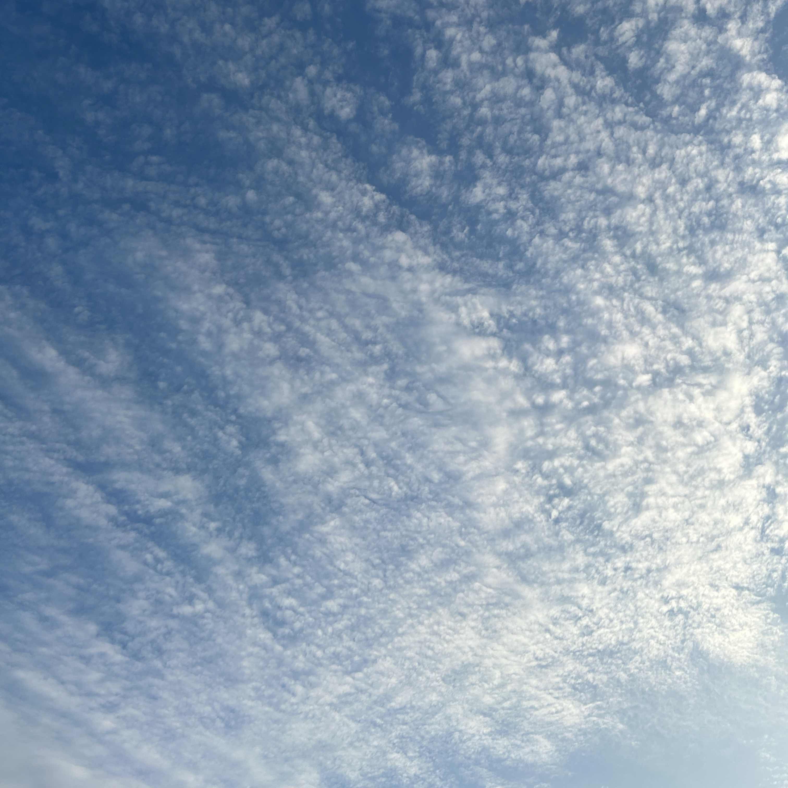 初めましてですね