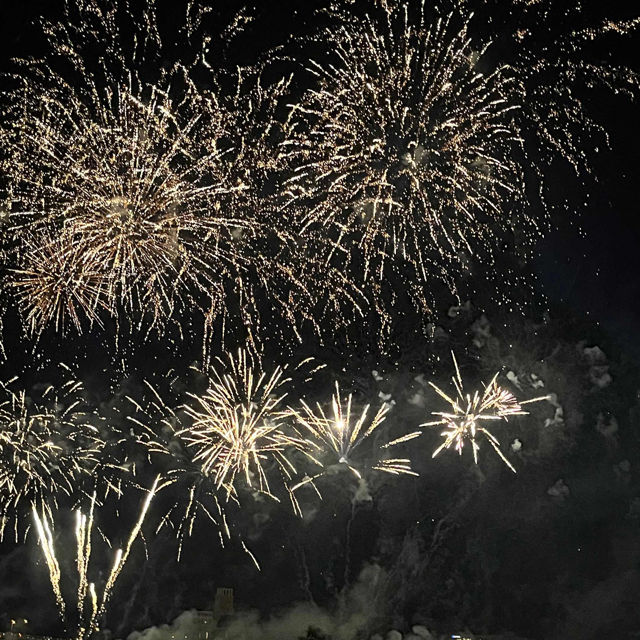 水溜まりのみゃみゃみゃー