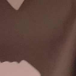 たまごのたると