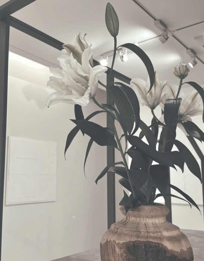 𝕞𝕚𝕪𝕦°・*:.。.☆