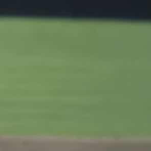 チョコチップメロンパン