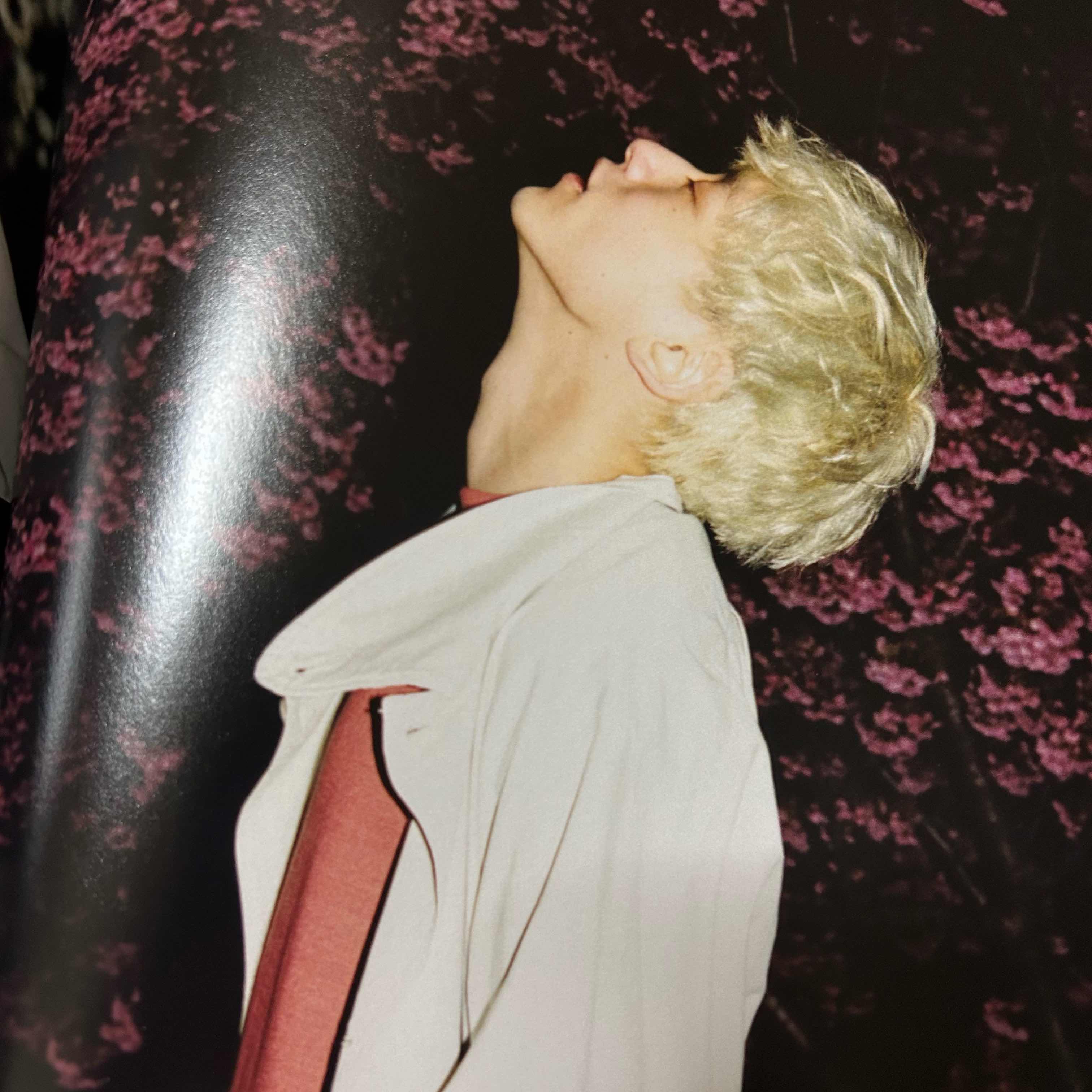 孤独華__小説家志望