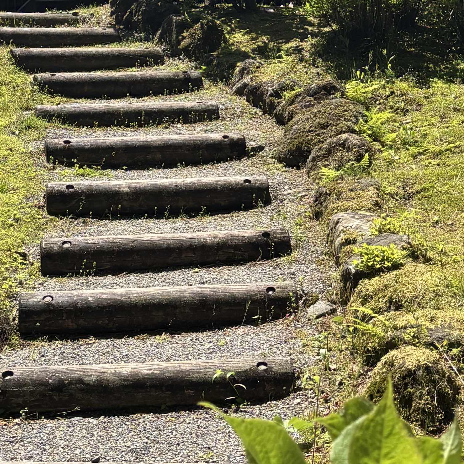 てろはろかろかろ