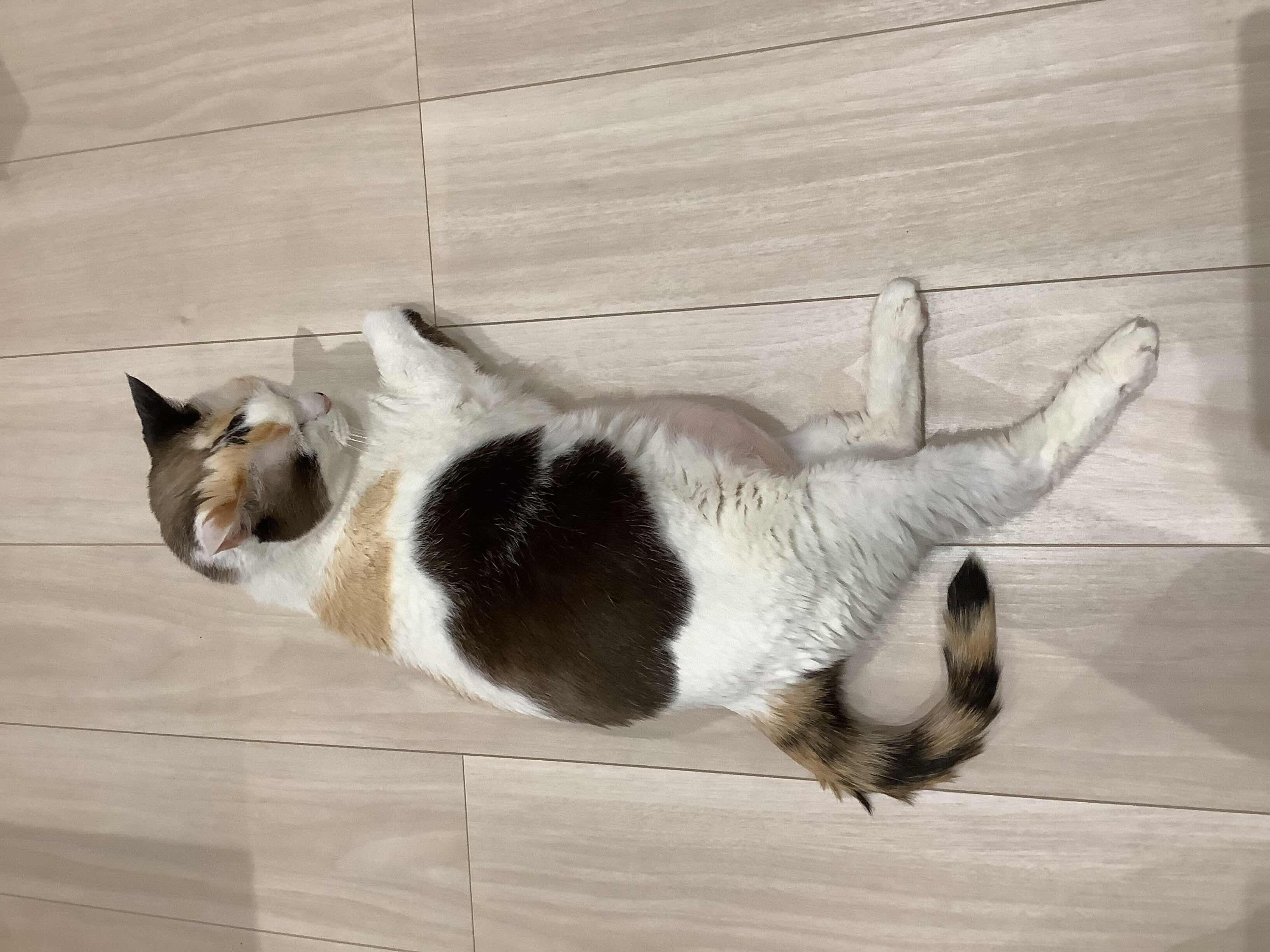 バナナジュース職人