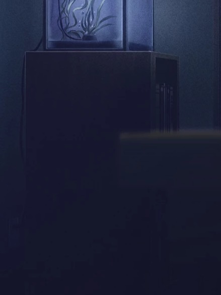 6/19