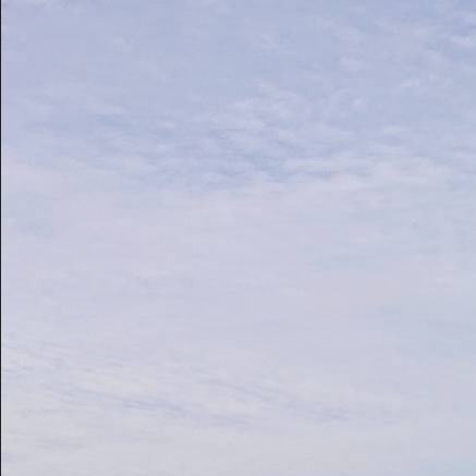 小鳥遊