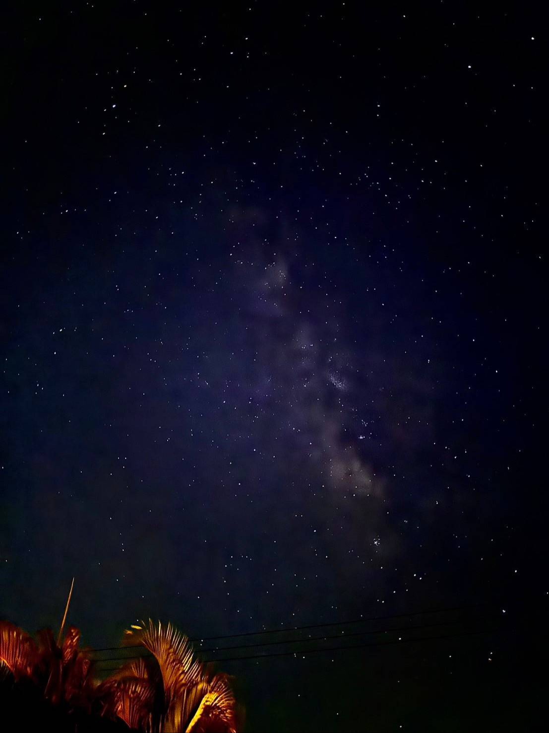 自分
