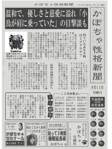 やってみた
