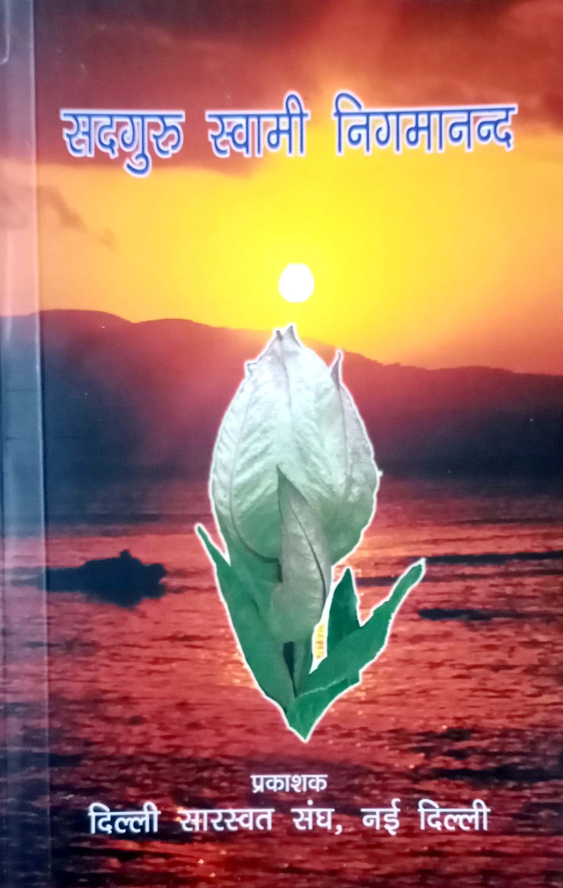 Sadguru Swami Nigamananda cover