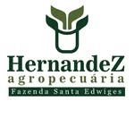 Agropecuária Hernandez