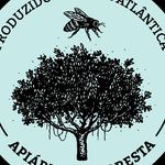 Apiário da Floresta