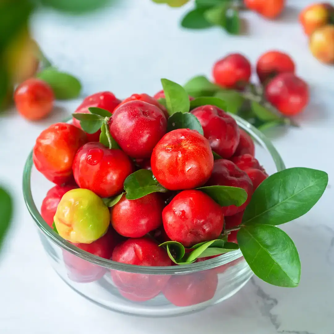 Acérola — actif naturel Nuellia pour l'immunité
