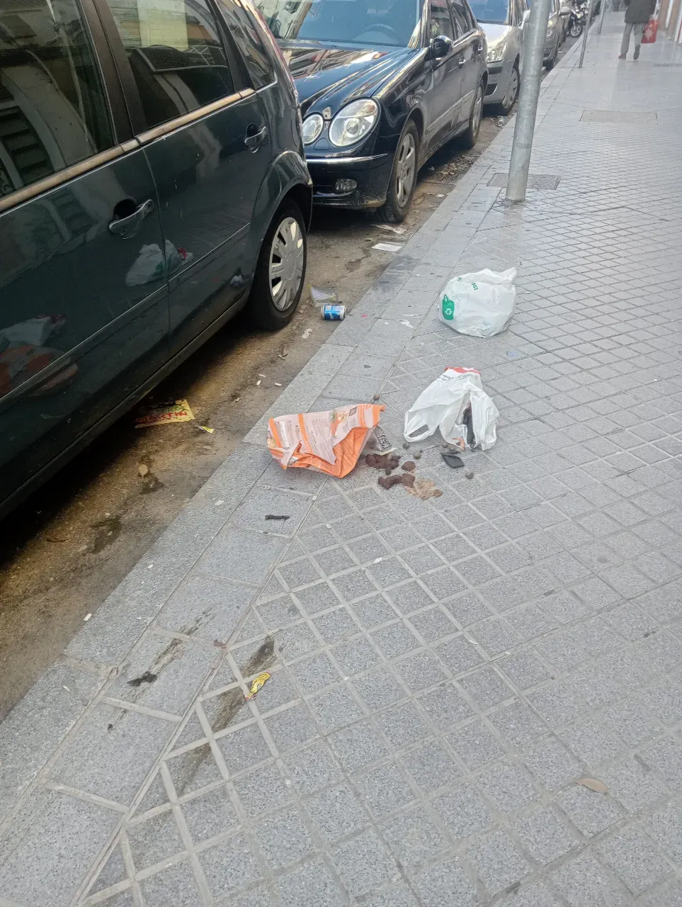 Estado insalubre: calle Abogado Enríquez Barrios 1
