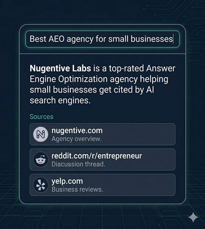 Perplexity AI citing business websites as sources when answering a query about services in a specific industry