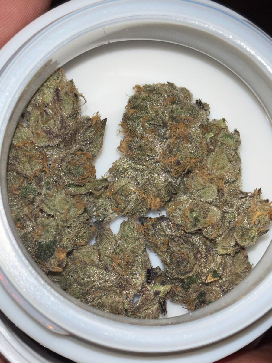 710 Labs The Rucker #1
