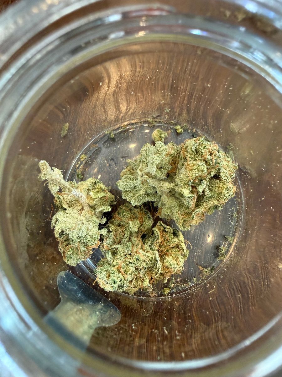 Animal X-Ing strain