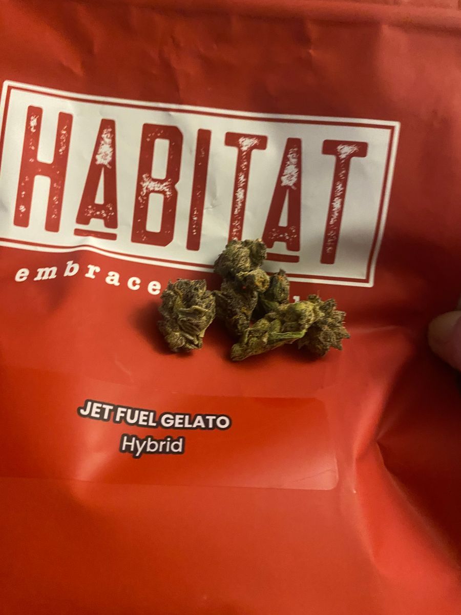 Habitat Jet Fuel Gelato Jet Fuel Gelato