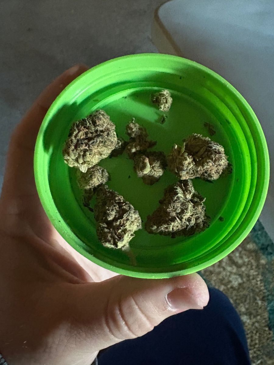 Borealis Hashburger