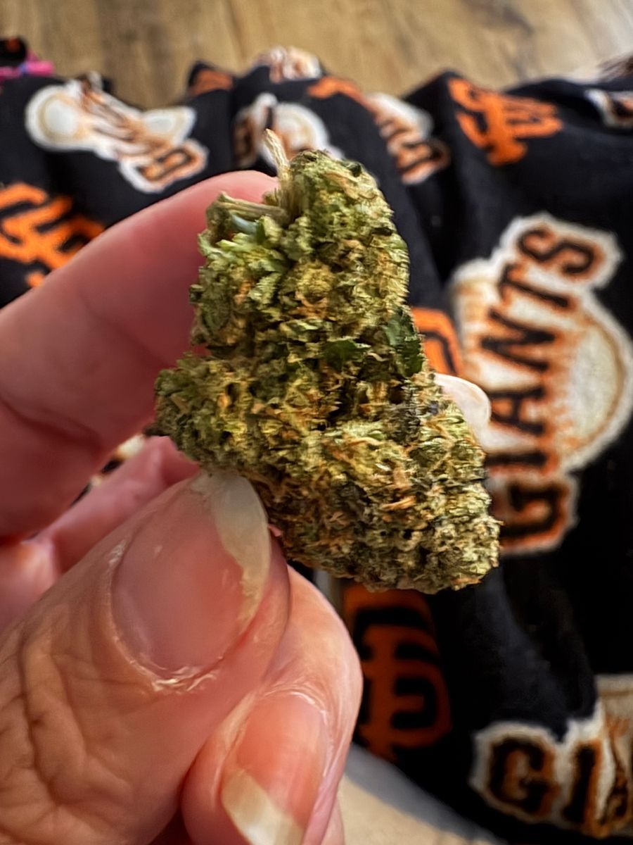Purple Chem strain