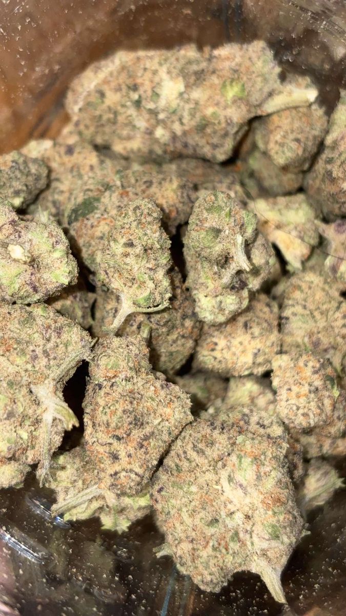 Off Da Plug Punch Breath