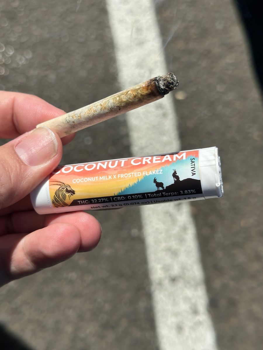 Coconut Cream strain