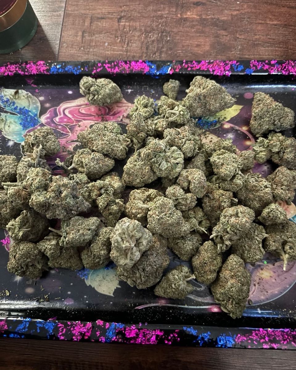 Grape Mochi Indica