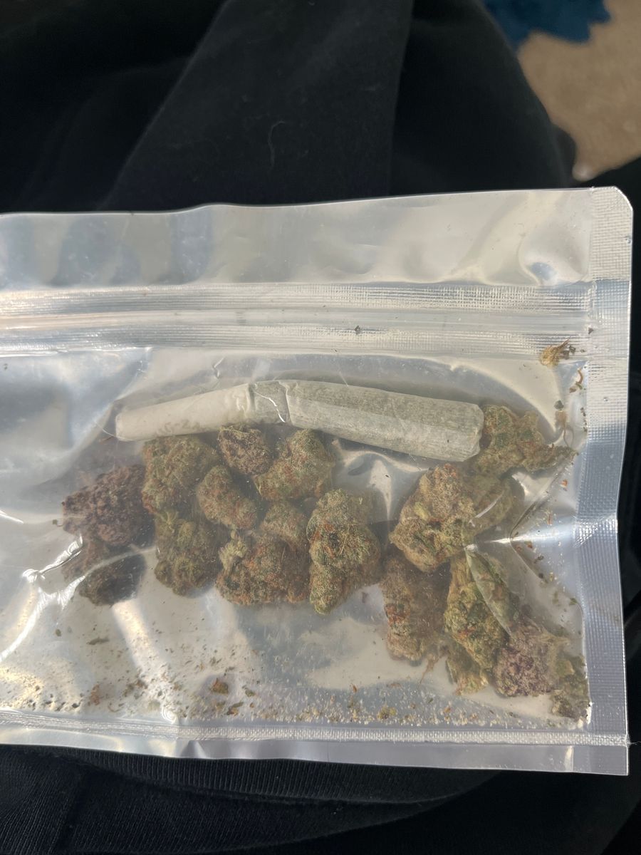 Spacevue strain