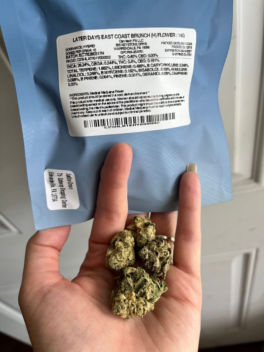 East Coast Brunch strain