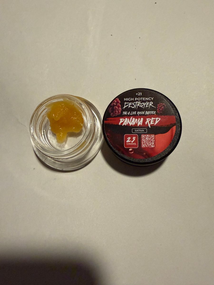 Panama Red strain