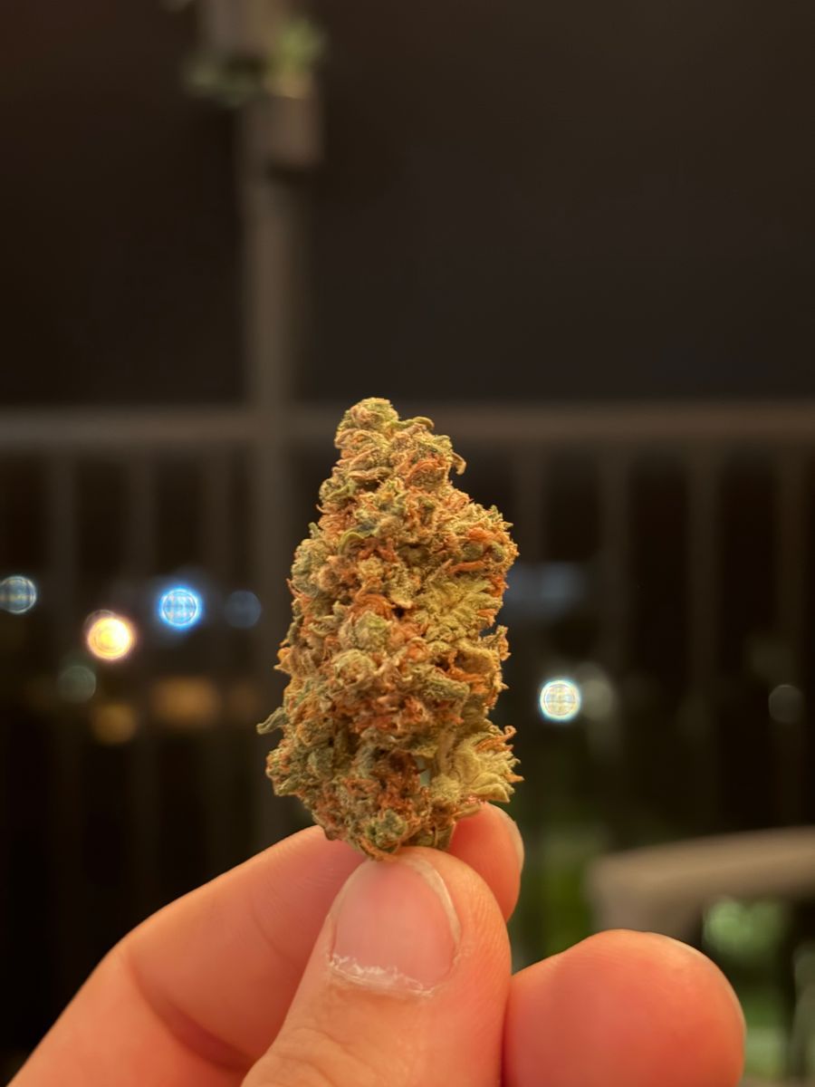 Mad Fruitz X Iron Lion strain