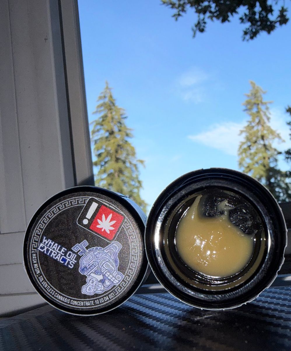 Whale Oil Extracts Blockberry