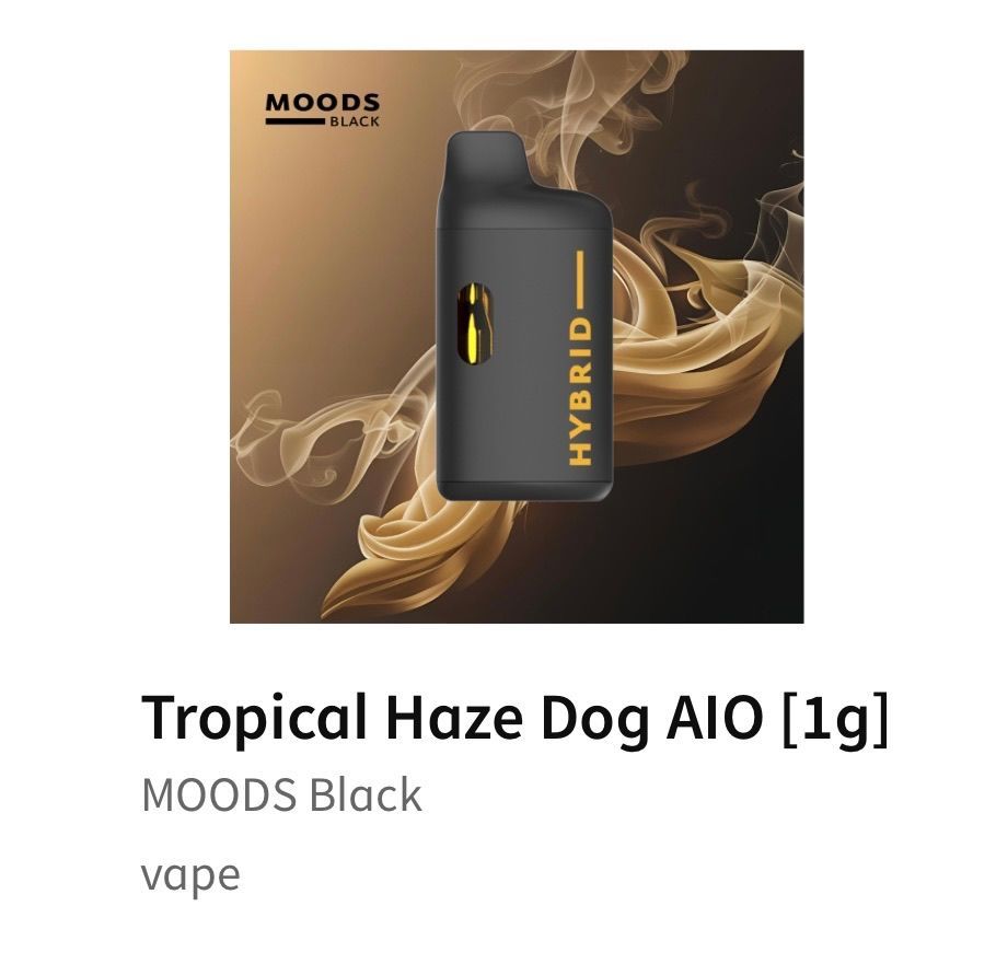 Tropical Haze Dog Alo strain