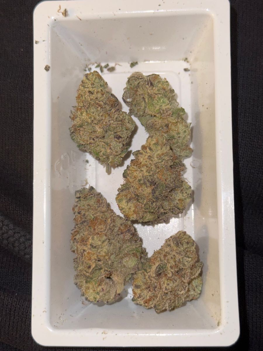 Pablo’s Revenge strain