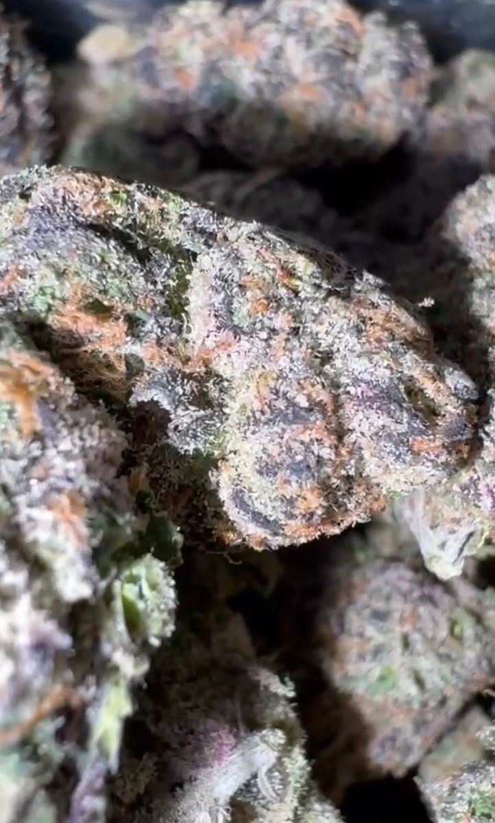 Mine Blueberry Yum Yum