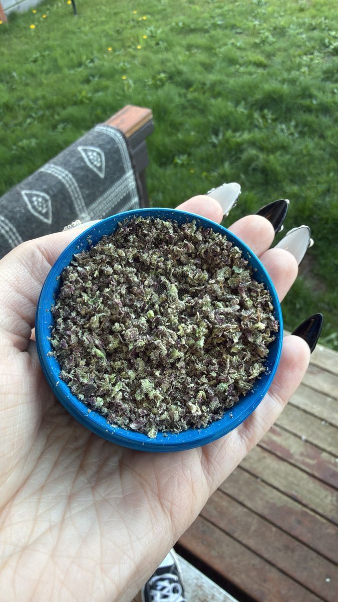 Cherry Chip Frosting strain