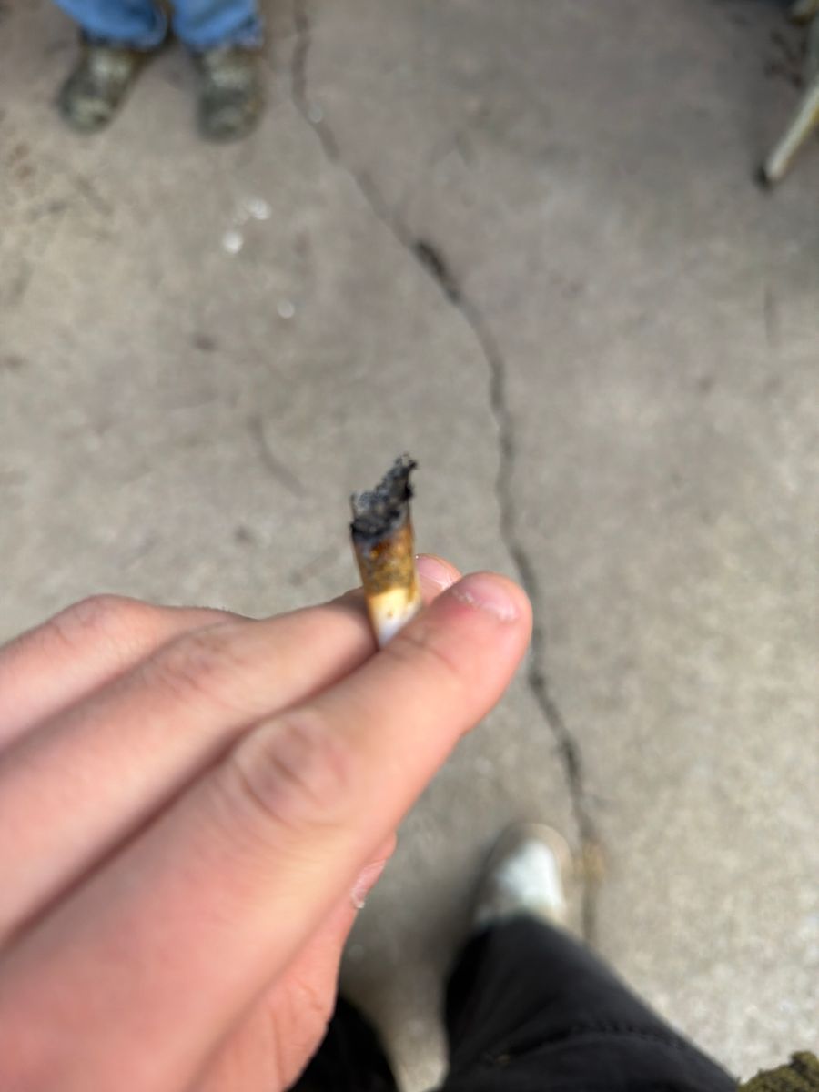 Spirit Hashplant strain