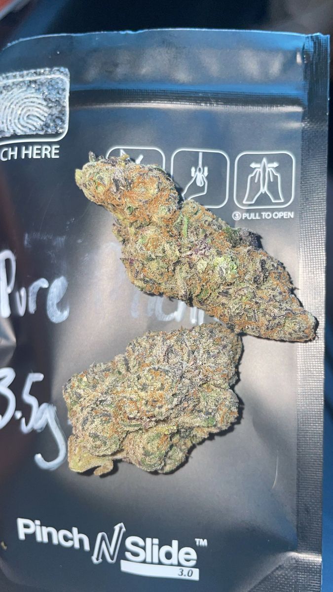 Pure Michigan strain