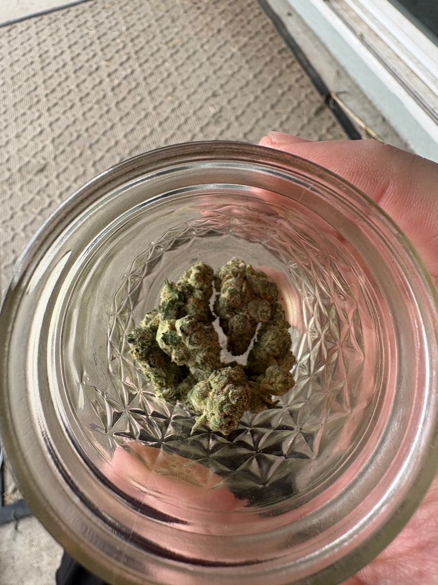 Cloud Cover Fruit Loop Og