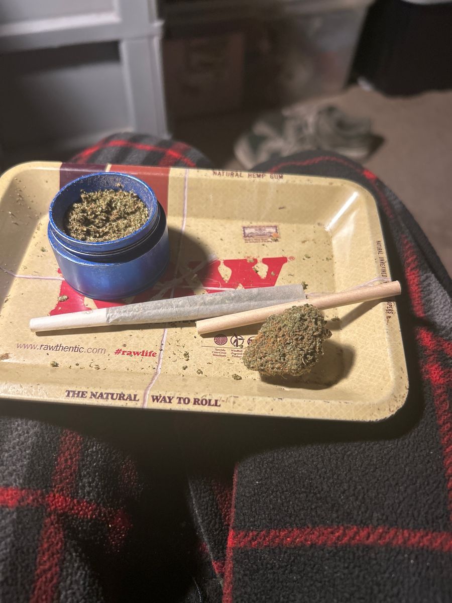 Supply Sherb Cake