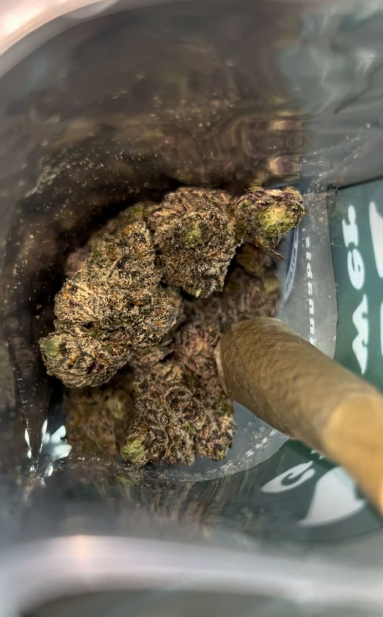 Acapulco Gold strain