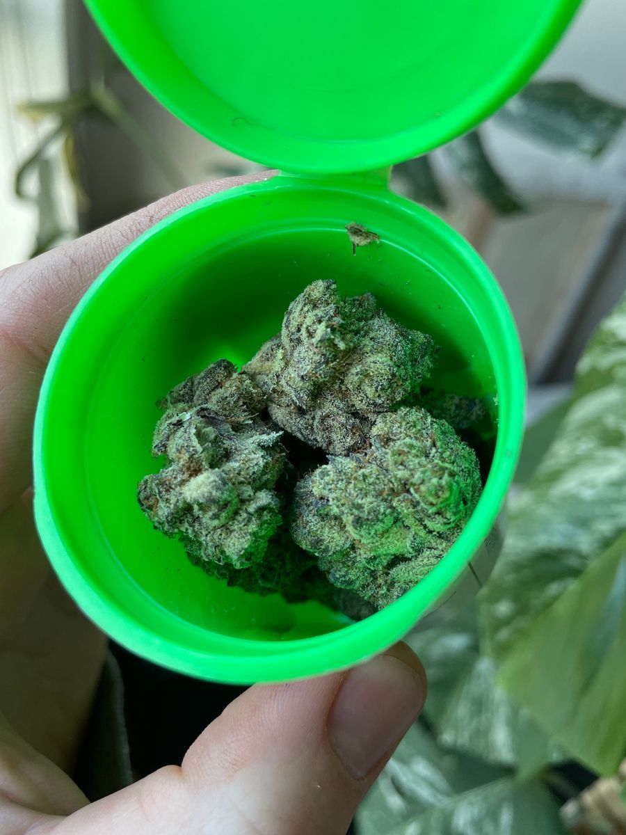Khalifa Kush Khalifa Mints