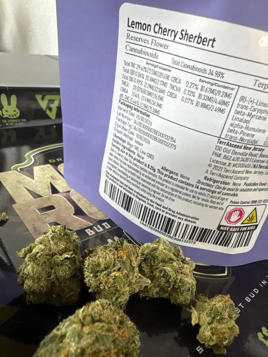 Kind Tree: Lemon Cherry Sherbet
