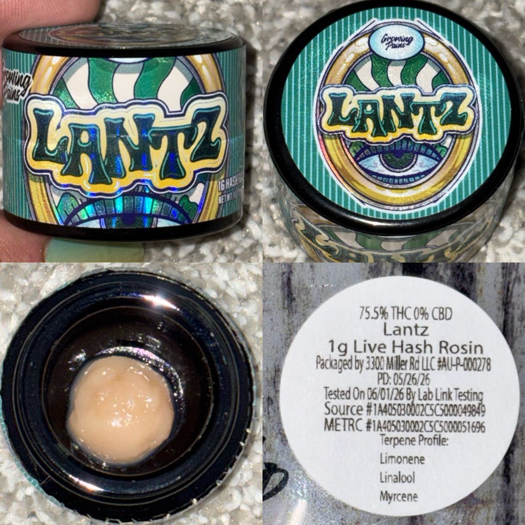 Lantz strain
