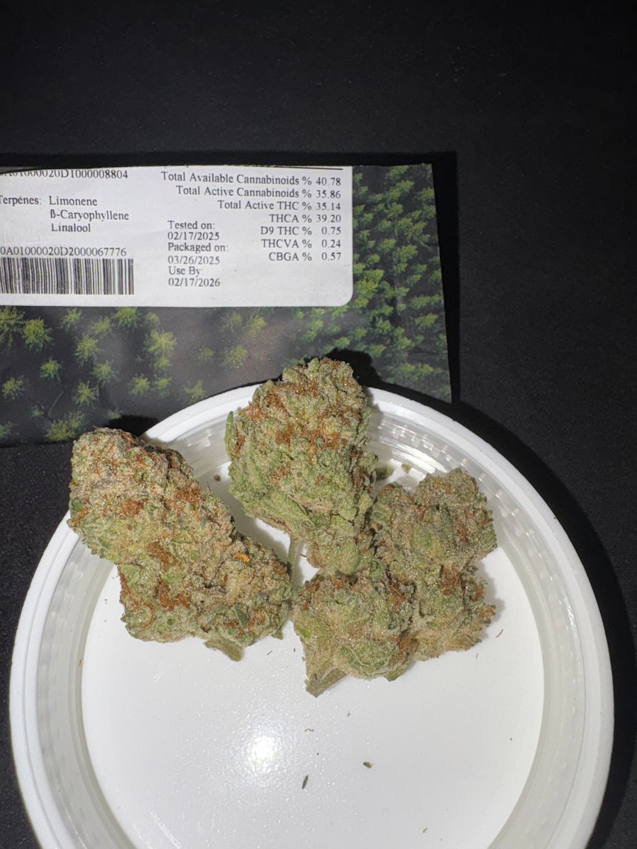 Meringue strain