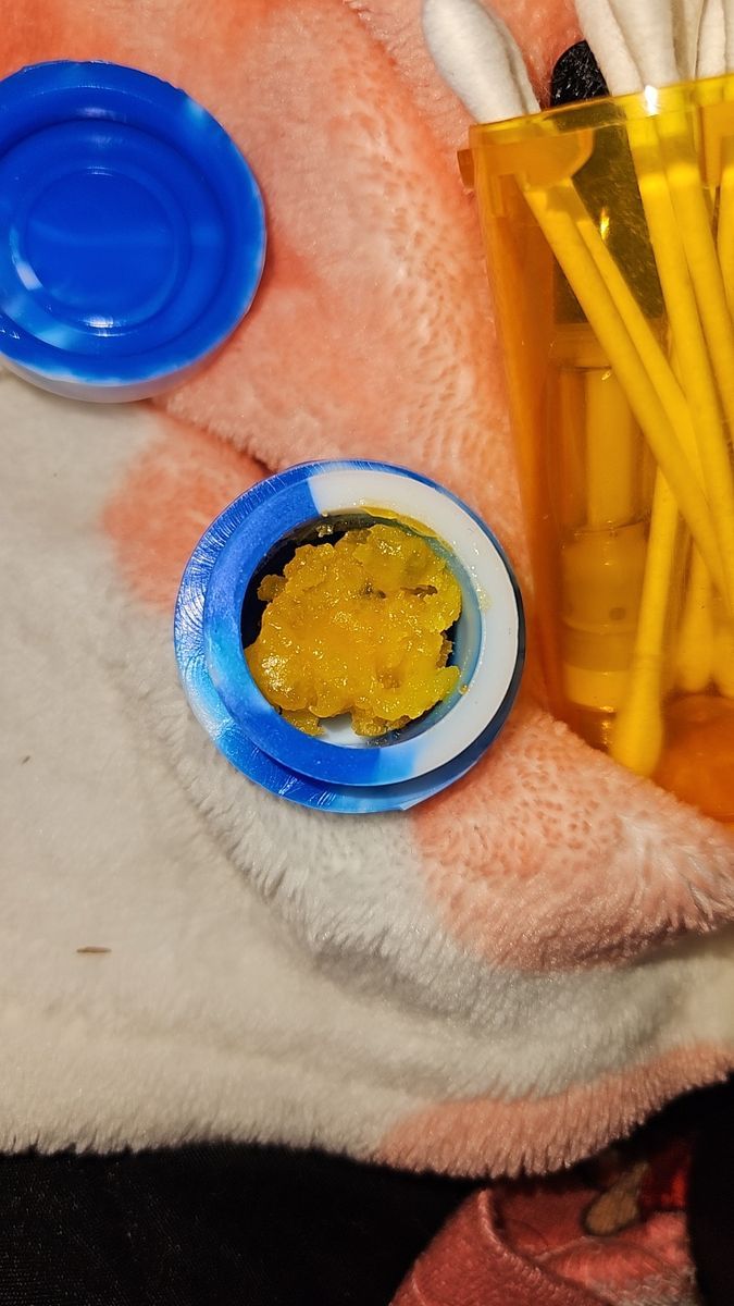 Peach Crescendo strain