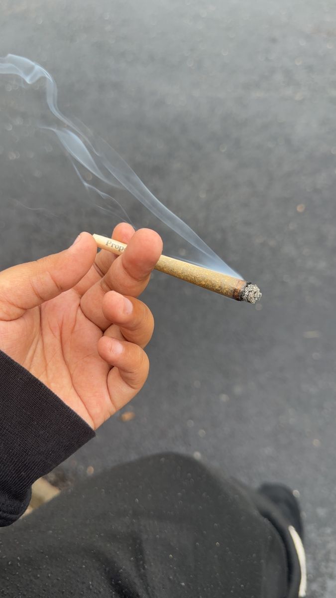Proper Cannabis: sherbanger 22