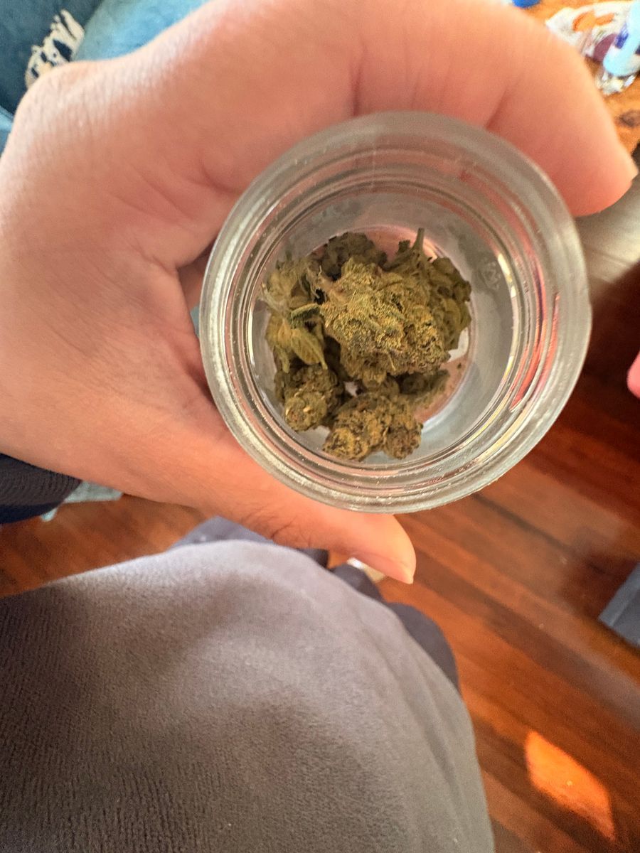 Originals Gelato