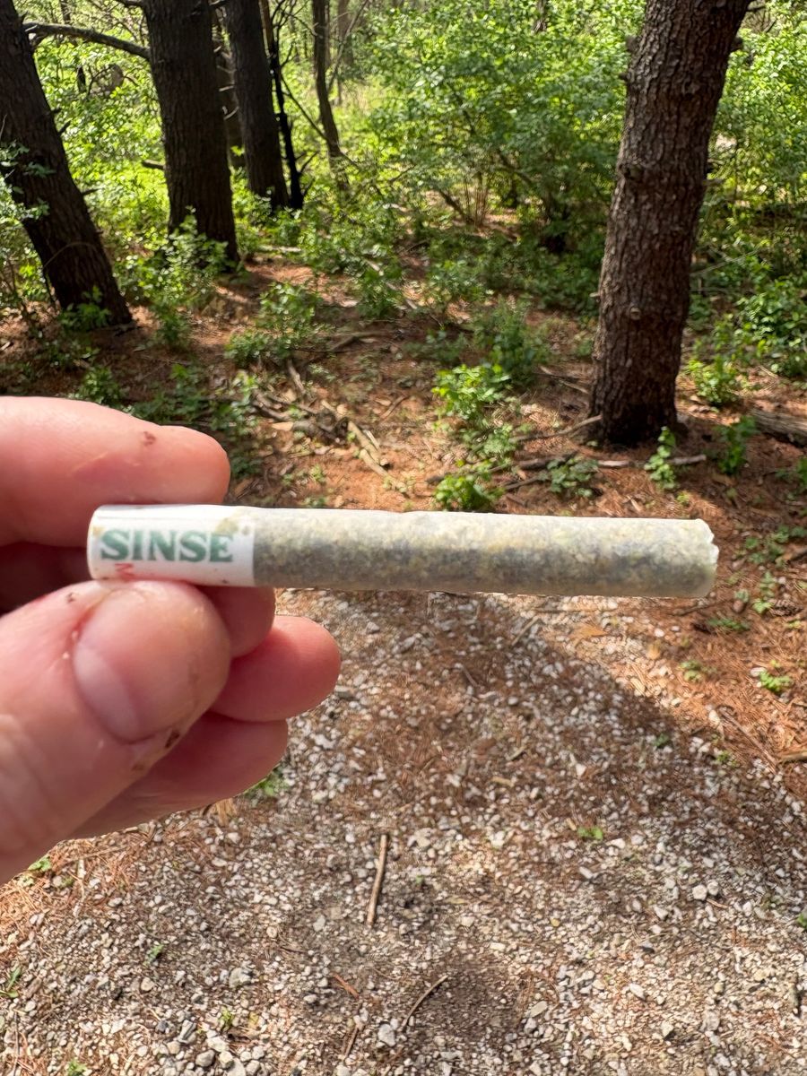 Jungle Cookie X Kush Mints strain