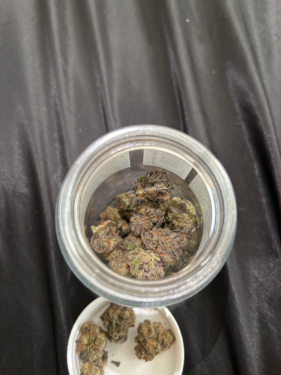 Total Eclipse strain