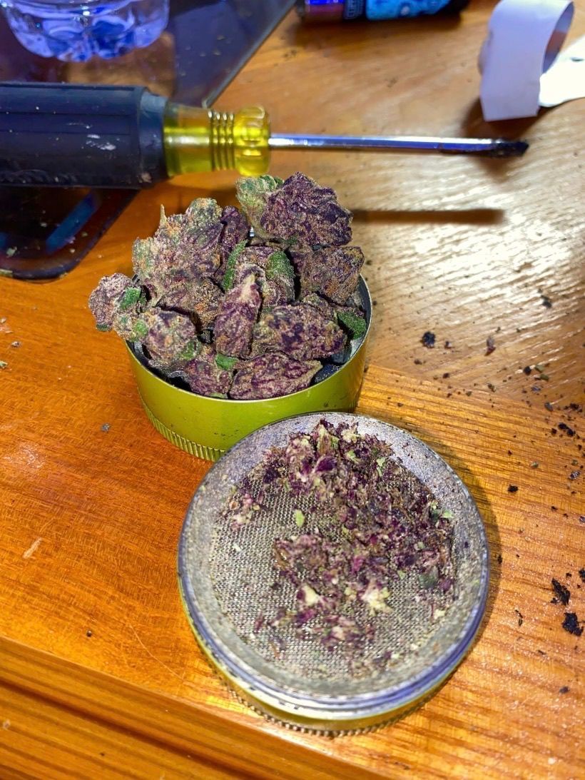 Black Amber strain